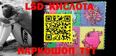 spice Краснознаменск